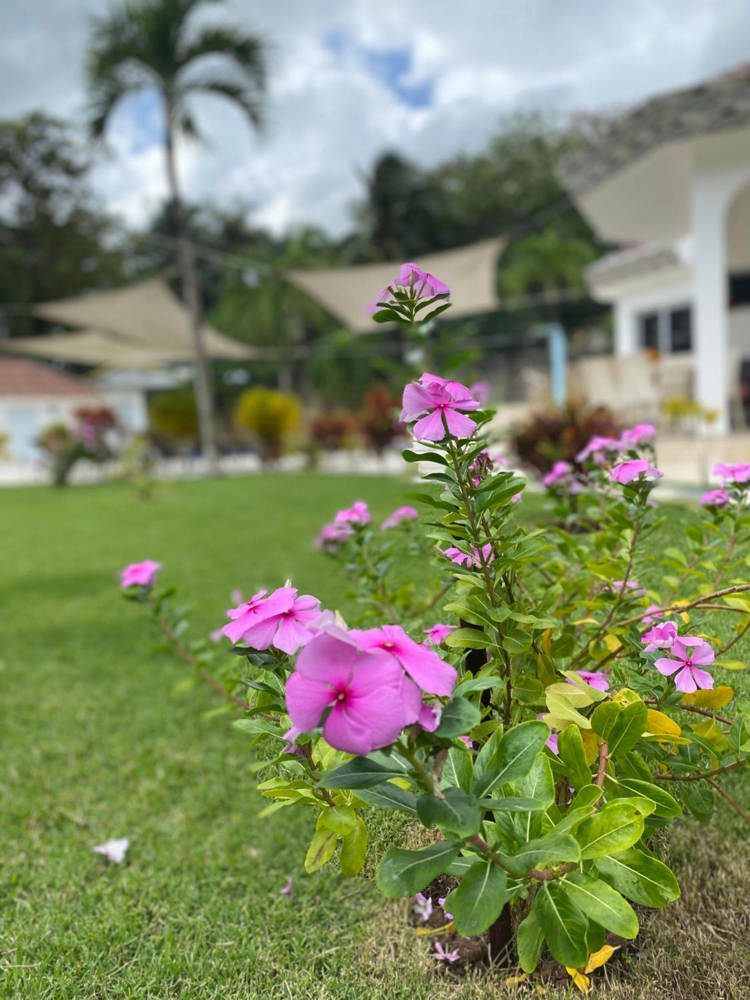 Appartamento Casa Blanca - White House Cabarete Esterno foto